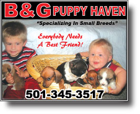 B & G Puppy Haven